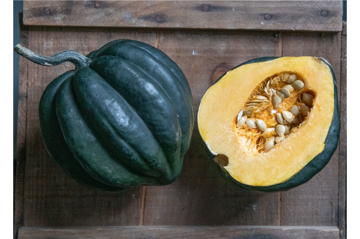 Night Shift – Organic Acorn Squash Seed